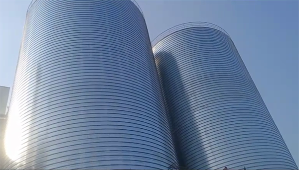 万冲镇2座混凝土高架卷板仓